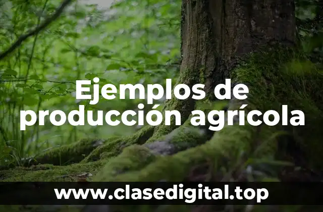 Ejemplos de producción agrícola