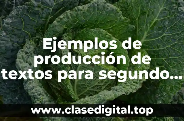 Ejemplos de producción de textos para segundo grado de primaria