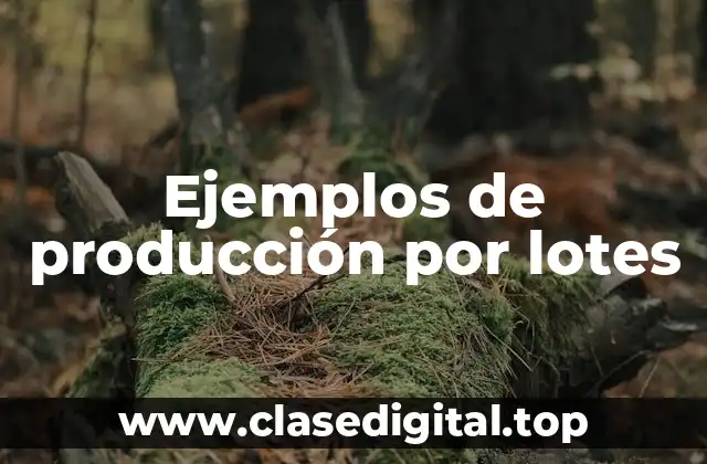 Ejemplos de producción por lotes