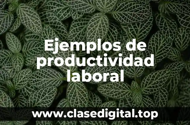 Ejemplos de productividad laboral