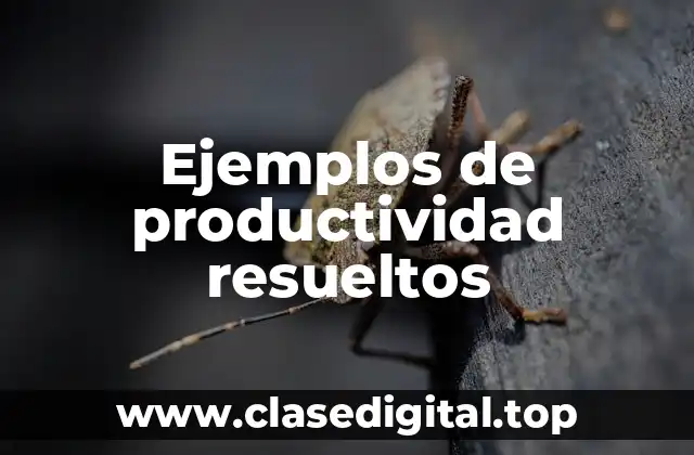 Ejemplos de productividad resueltos