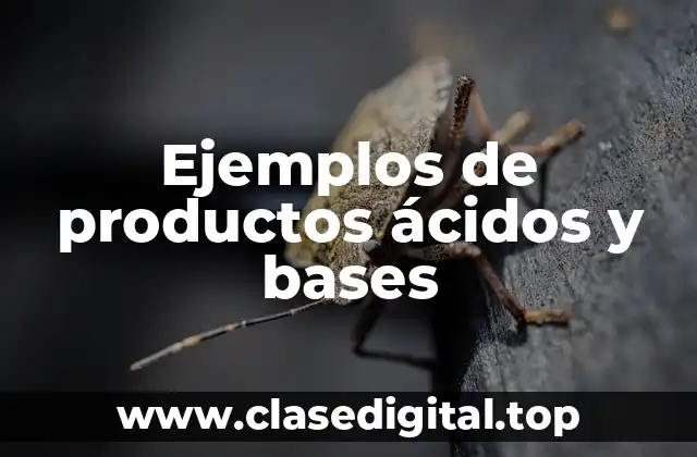 Ejemplos de productos ácidos y bases