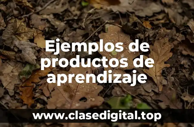 Ejemplos de productos de aprendizaje