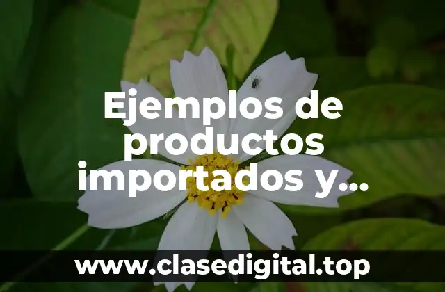 Ejemplos de productos importados y Significado