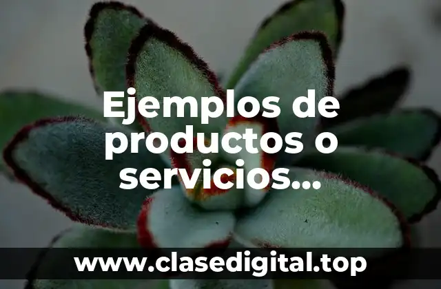 Ejemplos de productos o servicios innovadores y Significado
