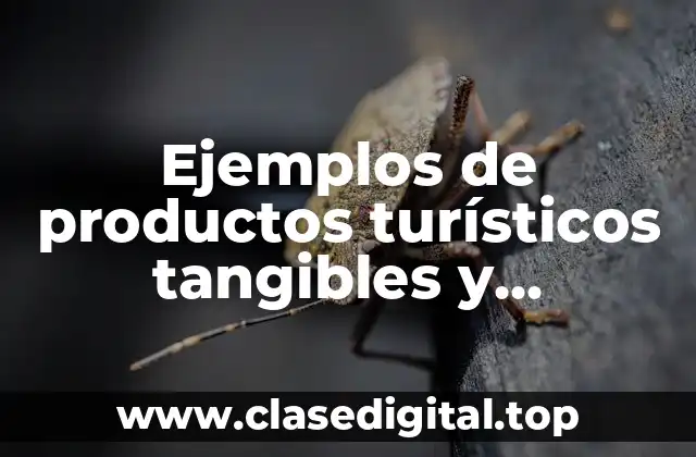 Ejemplos de productos turísticos tangibles