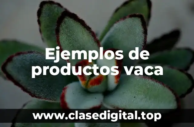 Ejemplos de productos vaca