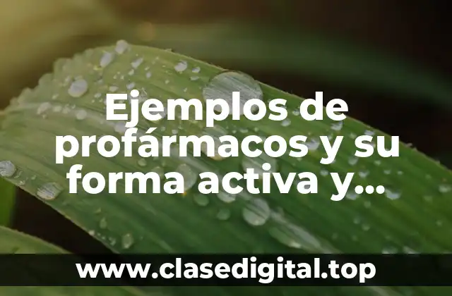 Ejemplos de profármacos y su forma activa y Significado