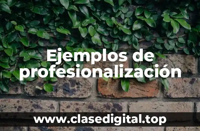 Ejemplos de profesionalización