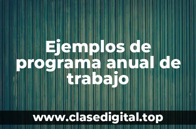 Ejemplos de programa anual de trabajo