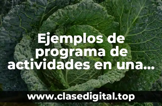 Ejemplos de programa de actividades en una empresa