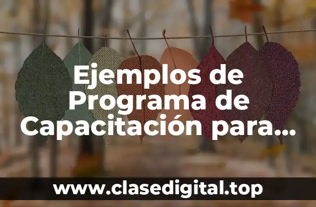 Ejemplos de Programa de Capacitación para Atención al Cliente