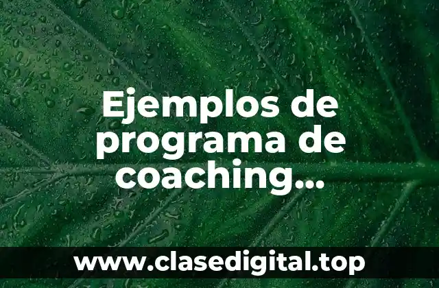 Ejemplos de programas de coaching empresarial