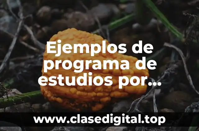 Ejemplos de programa de estudios por asignatura