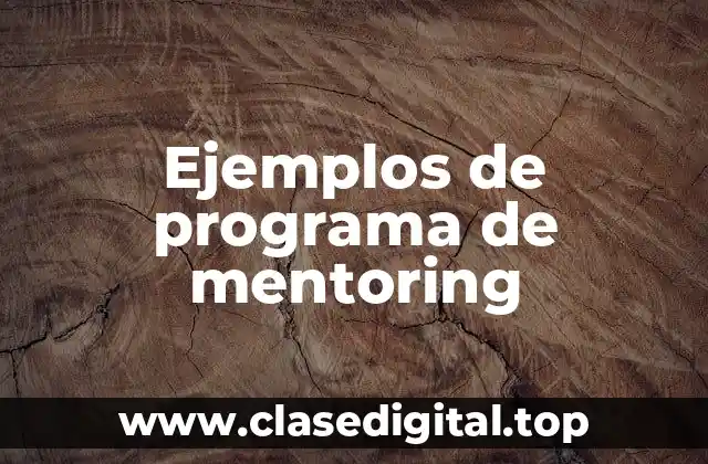 Ejemplos de programa de mentoring