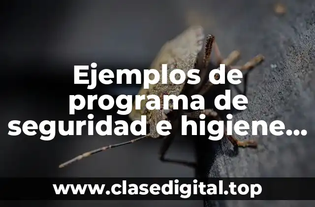 Ejemplos de programa de seguridad e higiene de una empresa