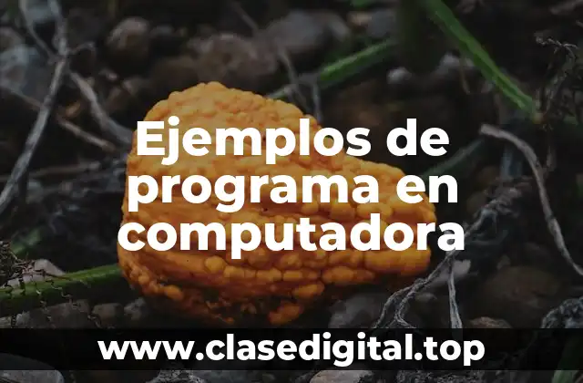 Ejemplos de programa en computadora