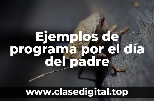 Ejemplos de programa por el día del padre