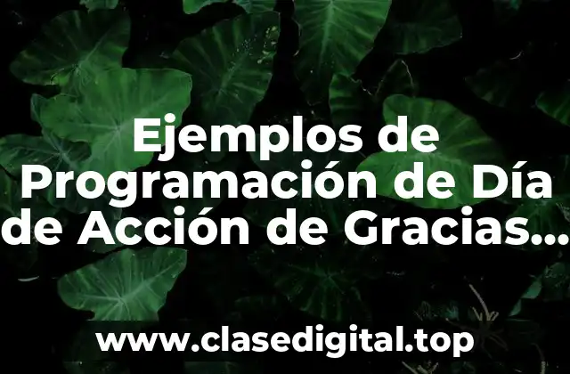 Ejemplos de Programación de Día de Acción de Gracias y Significado