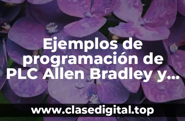 Ejemplos de programación de PLC Allen Bradley y Significado