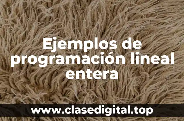 Ejemplos de programación lineal entera