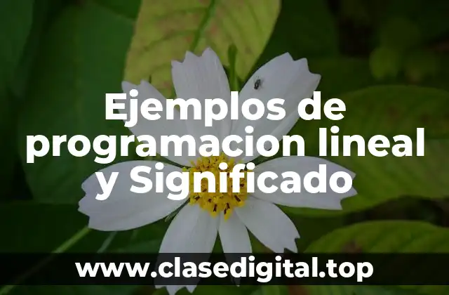 Ejemplos de programación lineal