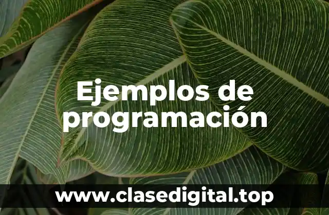 Ejemplos de programación