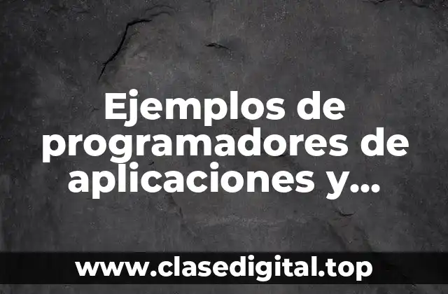 Ejemplos de programadores de aplicaciones y Significado