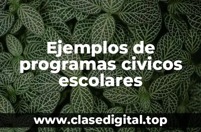Ejemplos de programas civicos escolares
