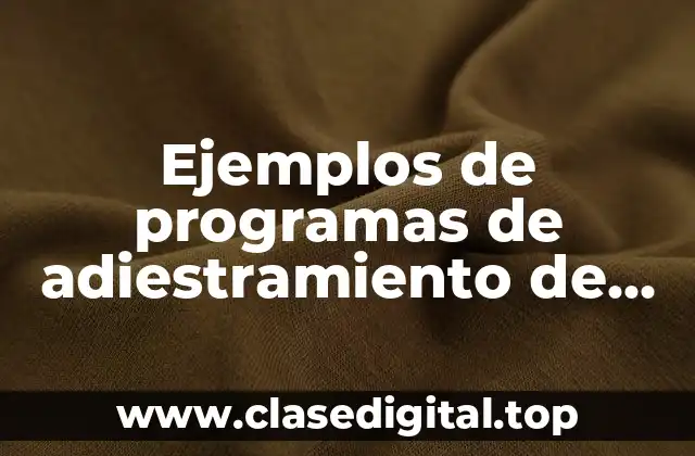 Ejemplos de programas de adiestramiento de lean manufacturing