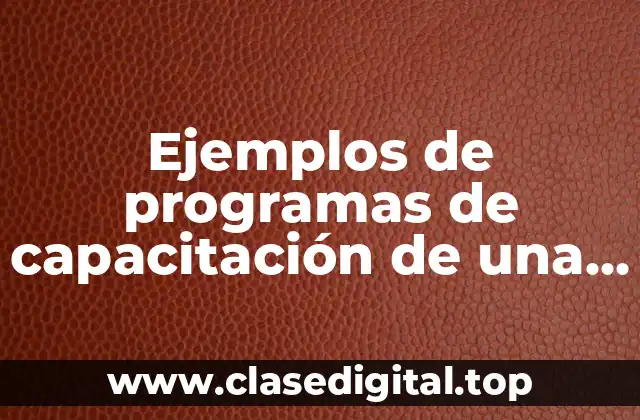 Ejemplos de programas de capacitación de una empresa objetivo general