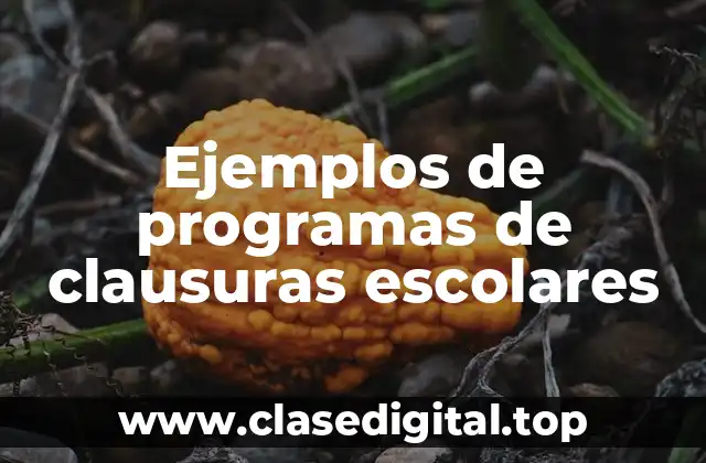 Ejemplos de programas de clausuras escolares