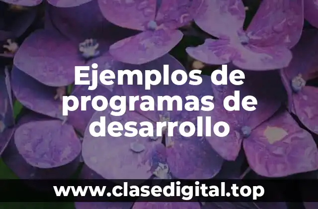 Ejemplos de programas de desarrollo