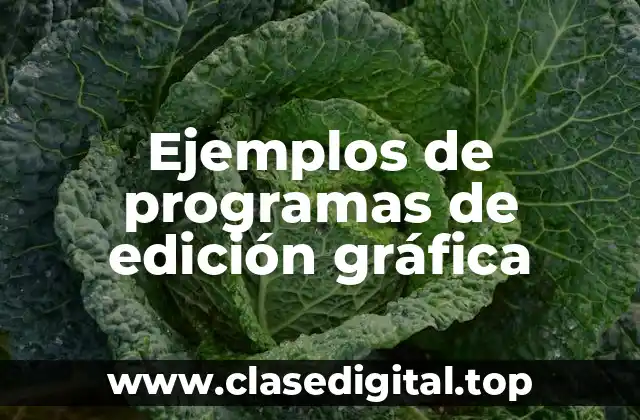 Ejemplos de programas de edición gráfica