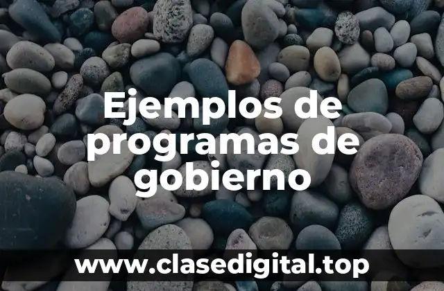 Ejemplos de programas de gobierno