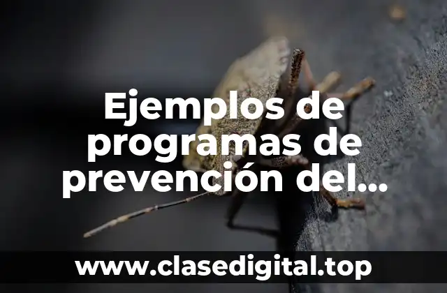 Ejemplos de programas de prevención del delito