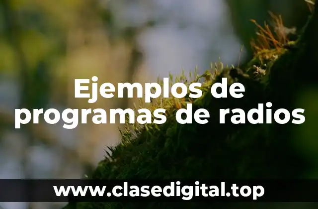 Ejemplos de programas de radios