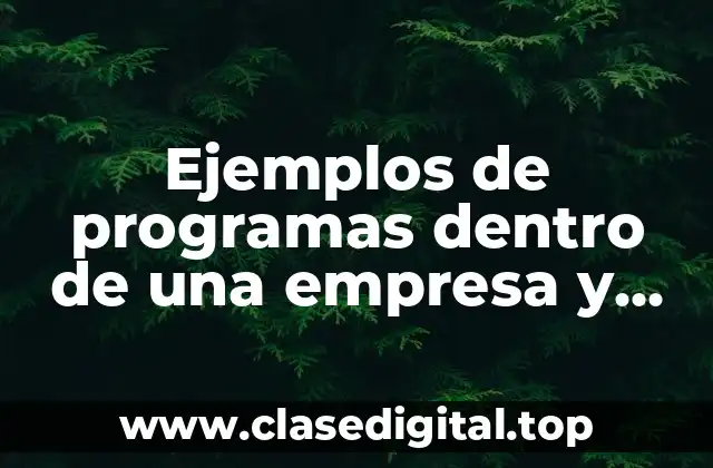 Ejemplos de programas dentro de una empresa
