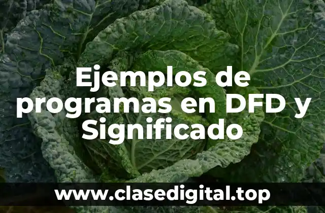 Ejemplos de programas en DFD