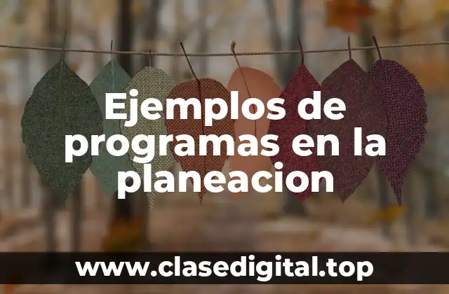 Ejemplos de programas en la planeación