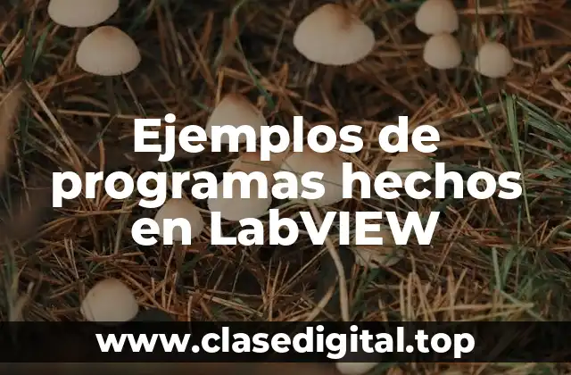 Ejemplos de programas hechos en LabVIEW