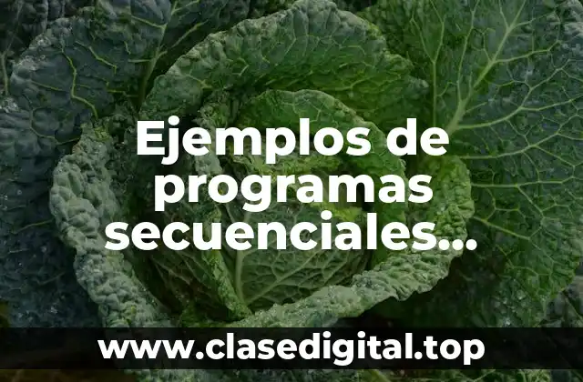 Ejemplos de programas secuenciales selectivas y de repetición en