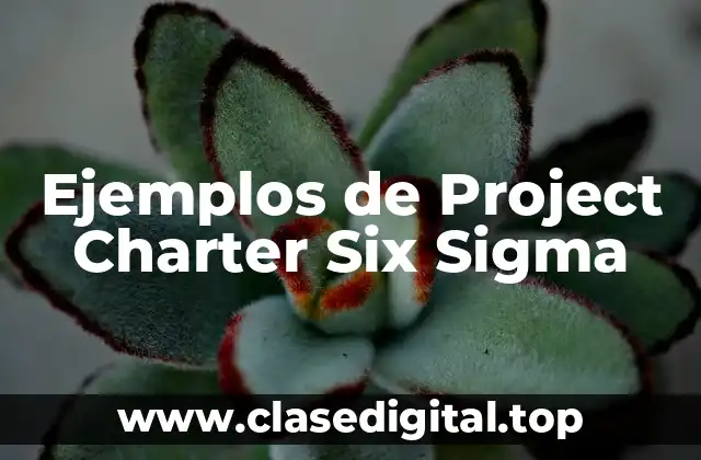 Ejemplos de Project Charter Six Sigma