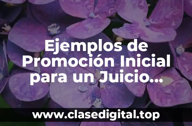 Ejemplos de Promoción Inicial para un Juicio Sucesorio Intestamentario