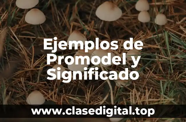 Ejemplos de Promodel y Significado