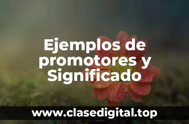 Ejemplos de promotores y Significado