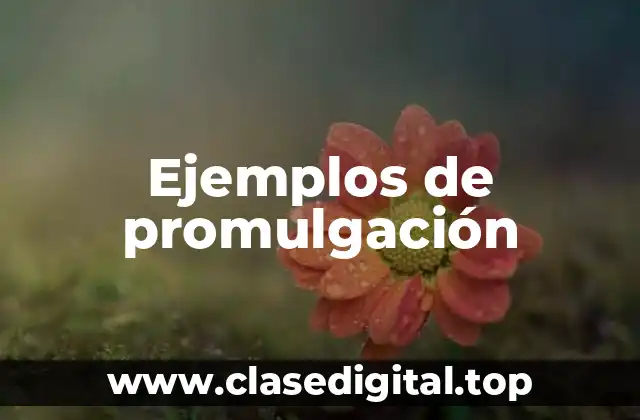 Ejemplos de promulgación