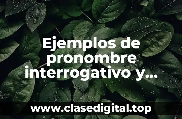 Ejemplos de pronombre interrogativo y Significado
