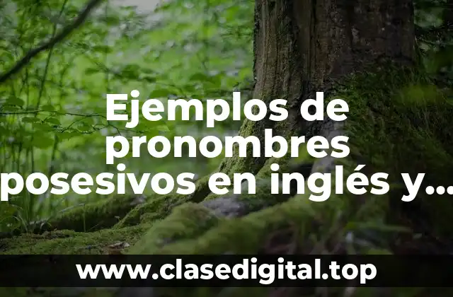 Ejemplos de pronombres posesivos en inglés y español