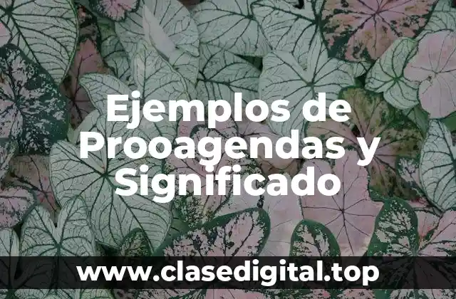 Ejemplos de Prooagendas y Significado
